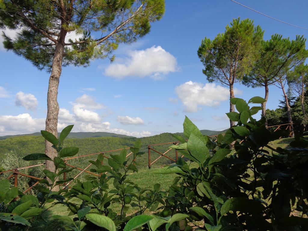 La Corte Dei Banchetti Gualdo Cattaneo Bagian luar foto